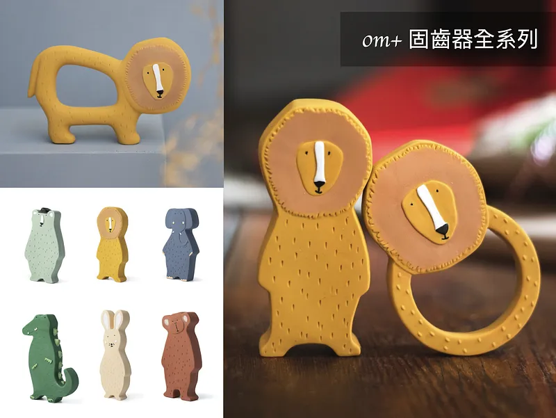 全系列固齒器 皆為團購價NT$440 (原價NT$550)